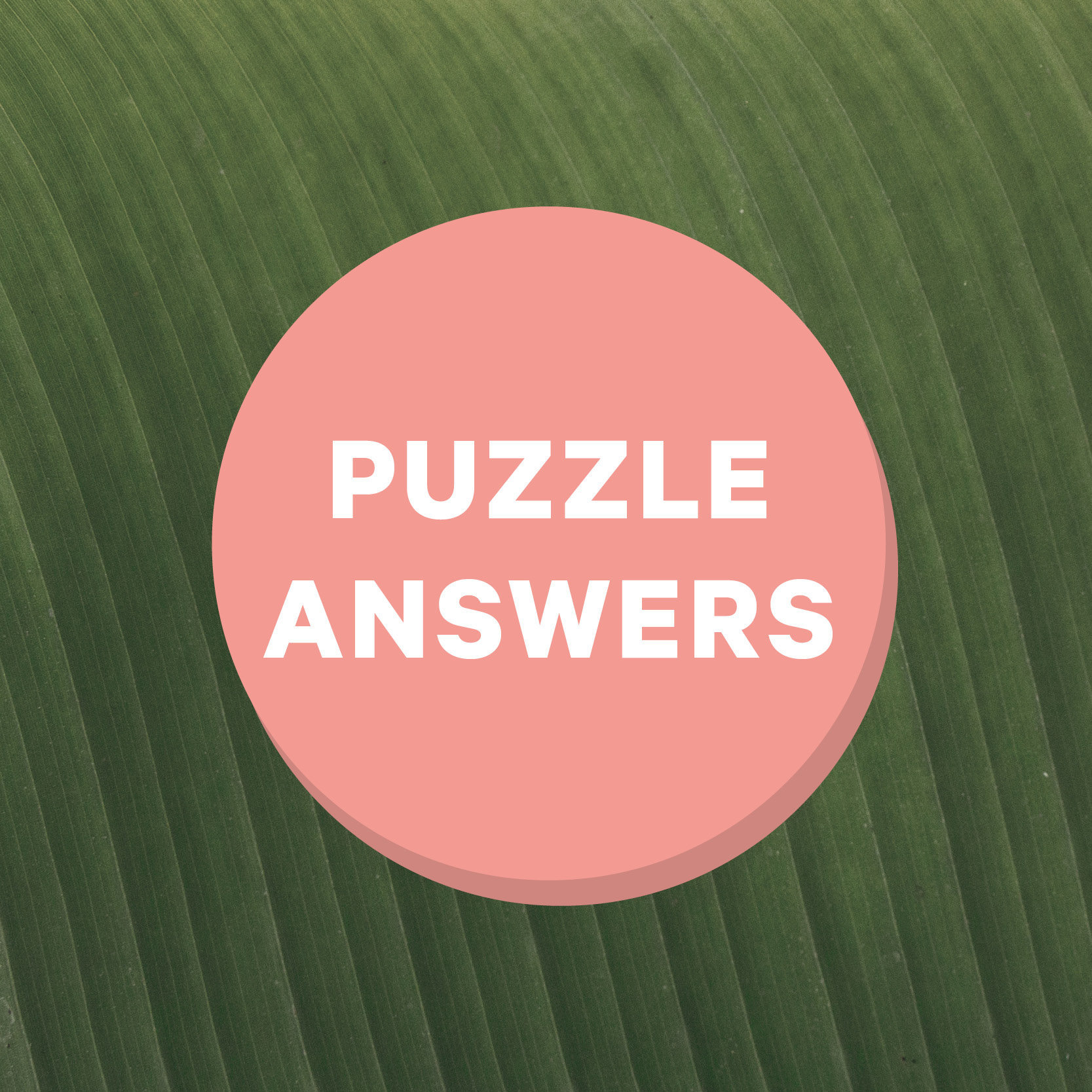 Good Crossword and Word Find answers Good Magazine Good Crossword and Word Find answers Good Magazine